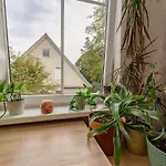 Apartment Urban Jungle 10min Walk To Old Town *