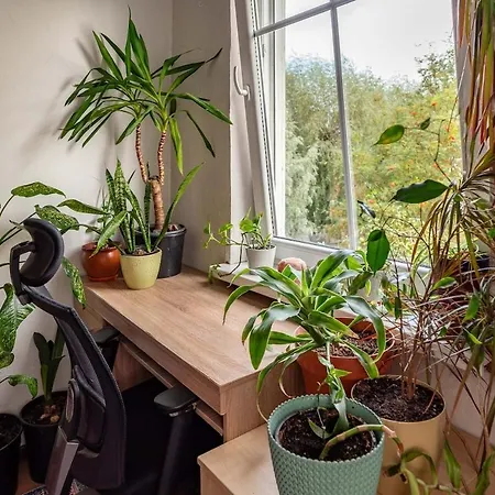 Urban Jungle 10min Walk To Old Town Appartement *