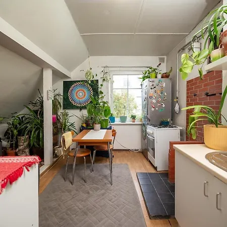 Urban Jungle 10min Walk To Old Town 公寓