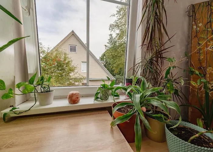 Lejlighed Urban Jungle 10min Walk To Old Town *