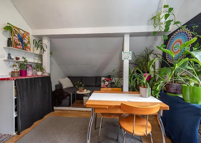 Urban Jungle 10min Walk To Old Town