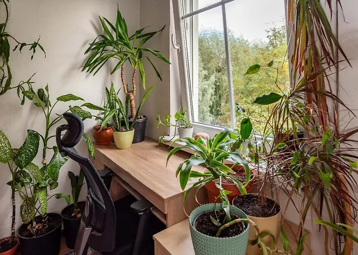 Urban Jungle 10min Walk To Old Town Appartement *