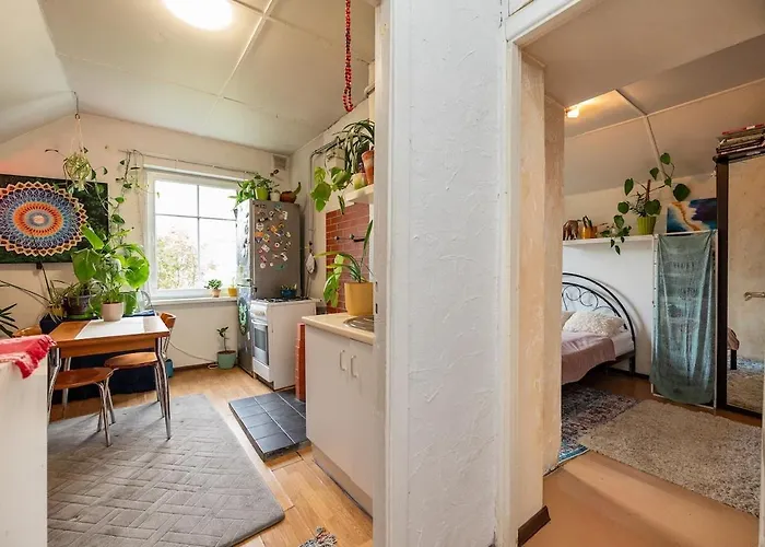 Urban Jungle 10min Walk To Old Town *