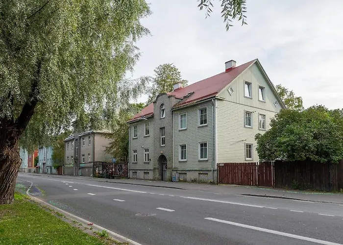 Urban Jungle 10min Walk To Old Town Lejlighed Tallinn