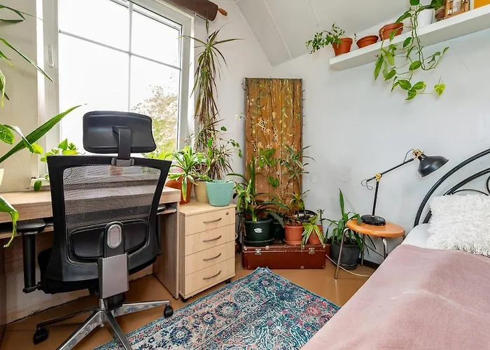 Urban Jungle 10min Walk To Old Town Lejlighed *