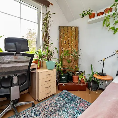 Urban Jungle 10min Walk To Old Town Апартаменти *