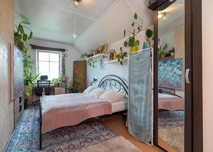 Urban Jungle 10min Walk To Old Town