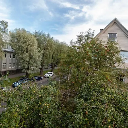 Urban Jungle 10min Walk To Old Town *