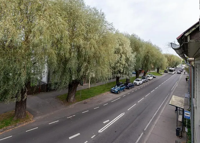 公寓 Urban Jungle 10min Walk To Old Town 塔林