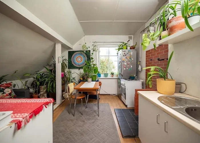 Urban Jungle 10min Walk To Old Town 公寓